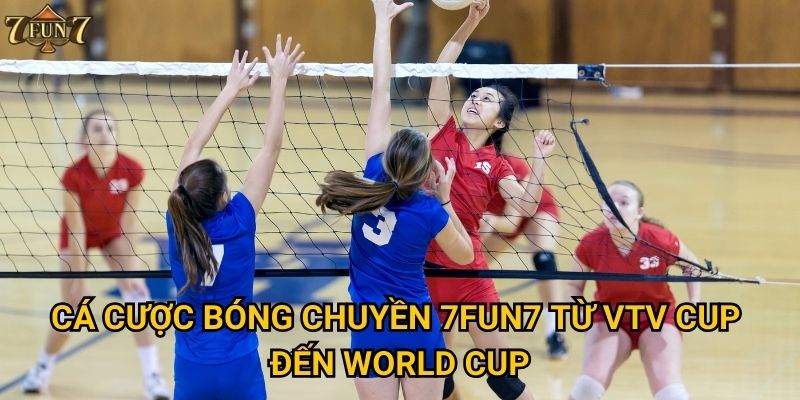 Điều gì làm cá cược bóng chuyền tại 7fun7 hấp dẫn? 2 Cá cược bóng chuyền 7fun7 từ VTV Cup đến World Cup