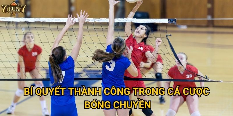 Điều gì làm cá cược bóng chuyền tại 7fun7 hấp dẫn? 3 Bí quyết thành công trong cá cược bóng chuyền